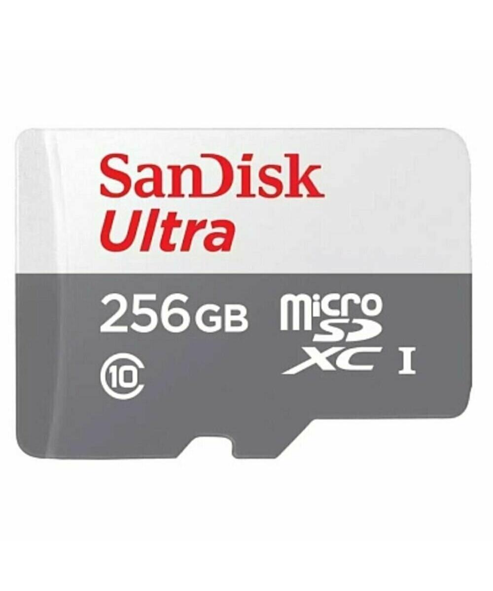 SanDisk SDSQUNR-256G-GN3MN 256GB U1 C10