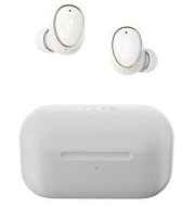 1MORE EVO TRUE Wireless Earbuds (EH902)