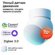 Датчик движения SBER SBDV-00029